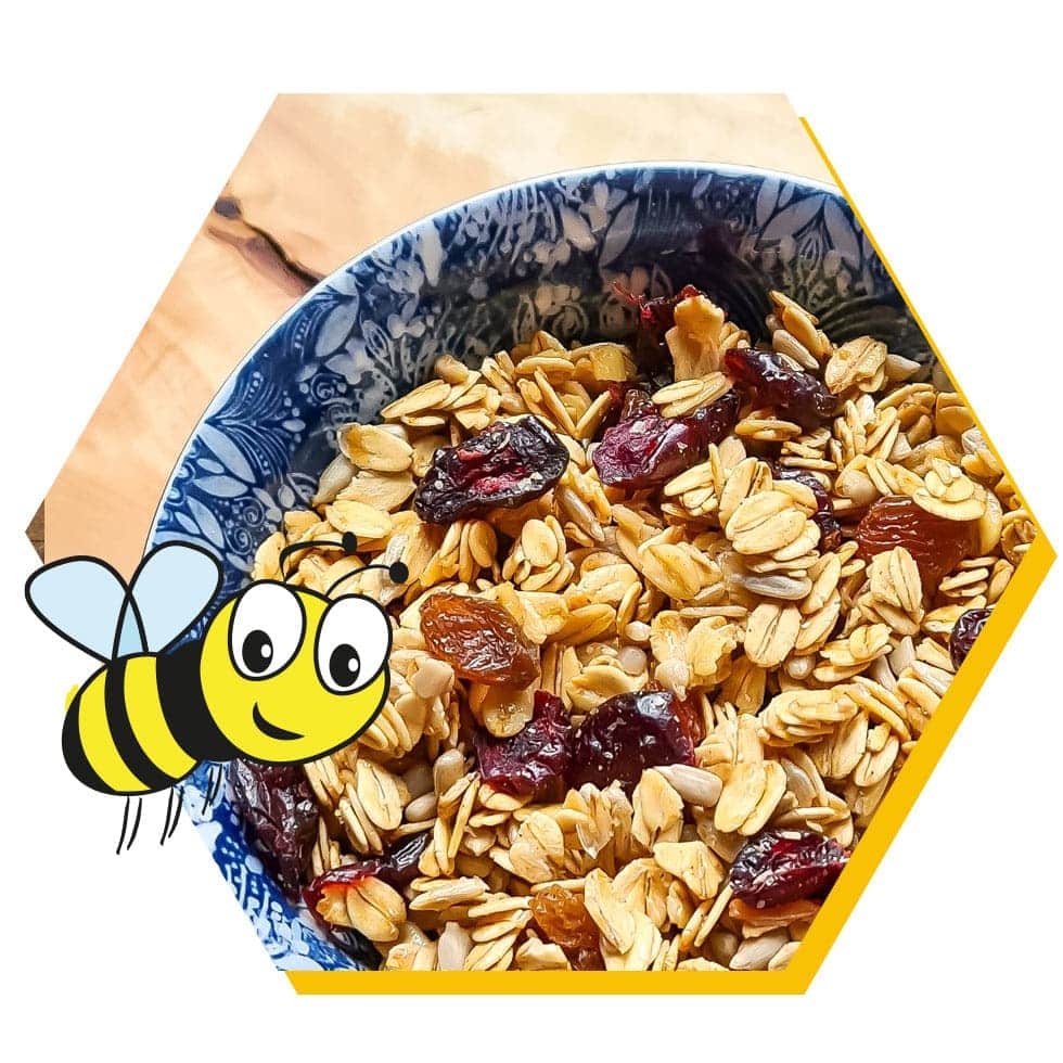 honigmuesli-kaufen_imkerei-wespen-hornissenentfernung-domke-wadersloh-diestedde Honigmüsli kaufen - für das perfekte Frühstück!